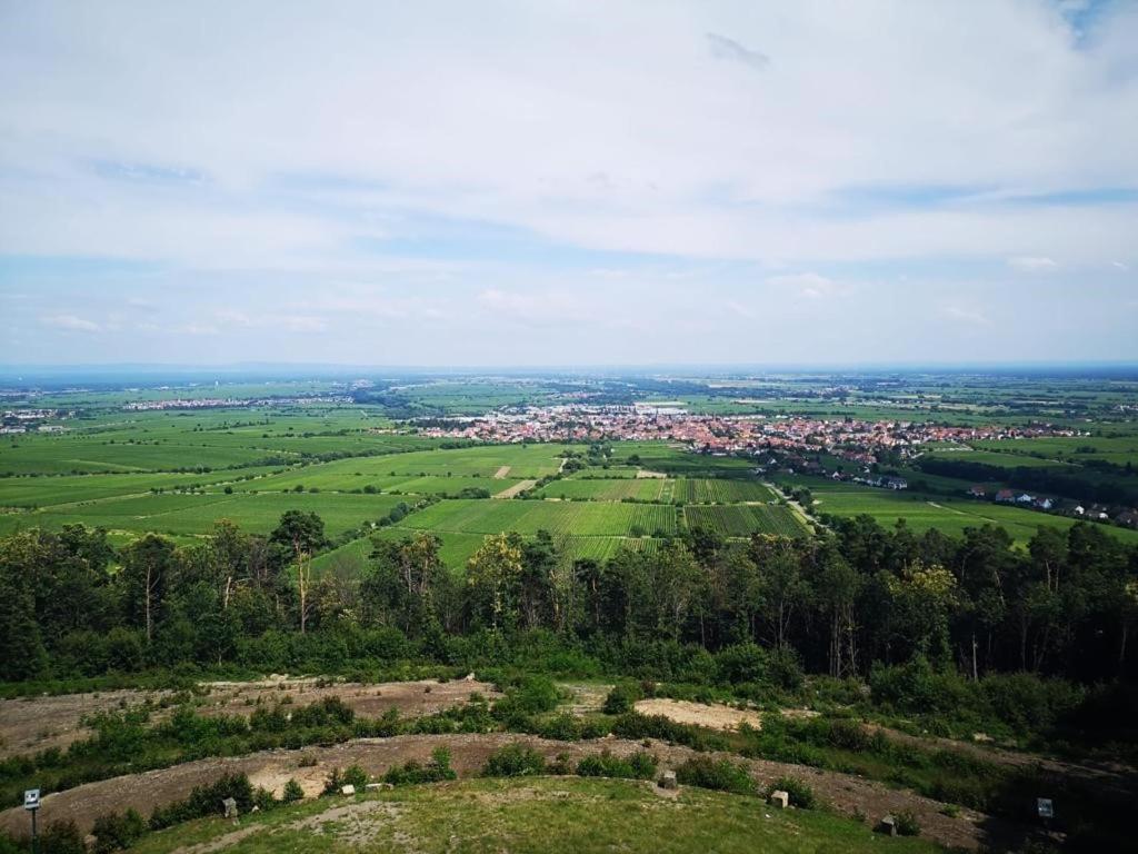 Wohnen Im Herzen Der Pfalz Neustadt an der Weinstraße Eksteriør bilde